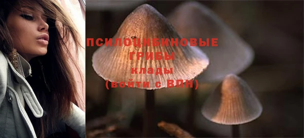герыч Анива