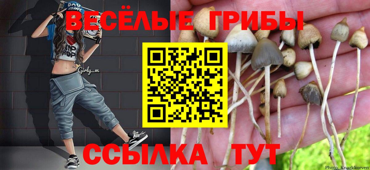 Псилоцибиновые грибы GOLDEN TEACHER  Ишим 