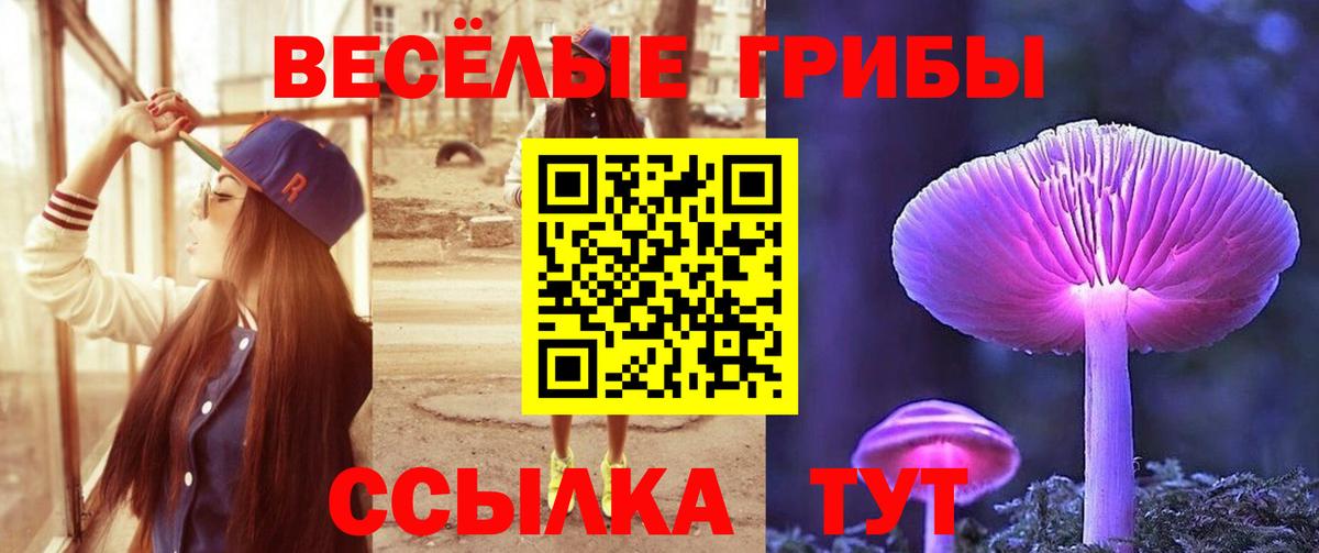 Галлюциногенные грибы Psilocybine cubensis Ишим